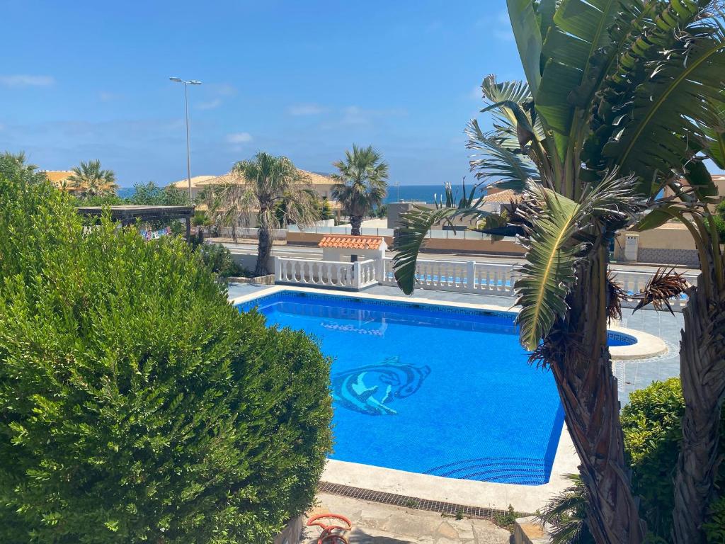una grande piscina blu accanto a una palma di Chalet 5 dormitorios con piscina y jardín a La Manga del Mar Menor