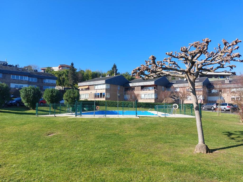 un árbol en un parque con una pista de tenis en Hondarribia con piscina, parking y terraza, en Hondarribia