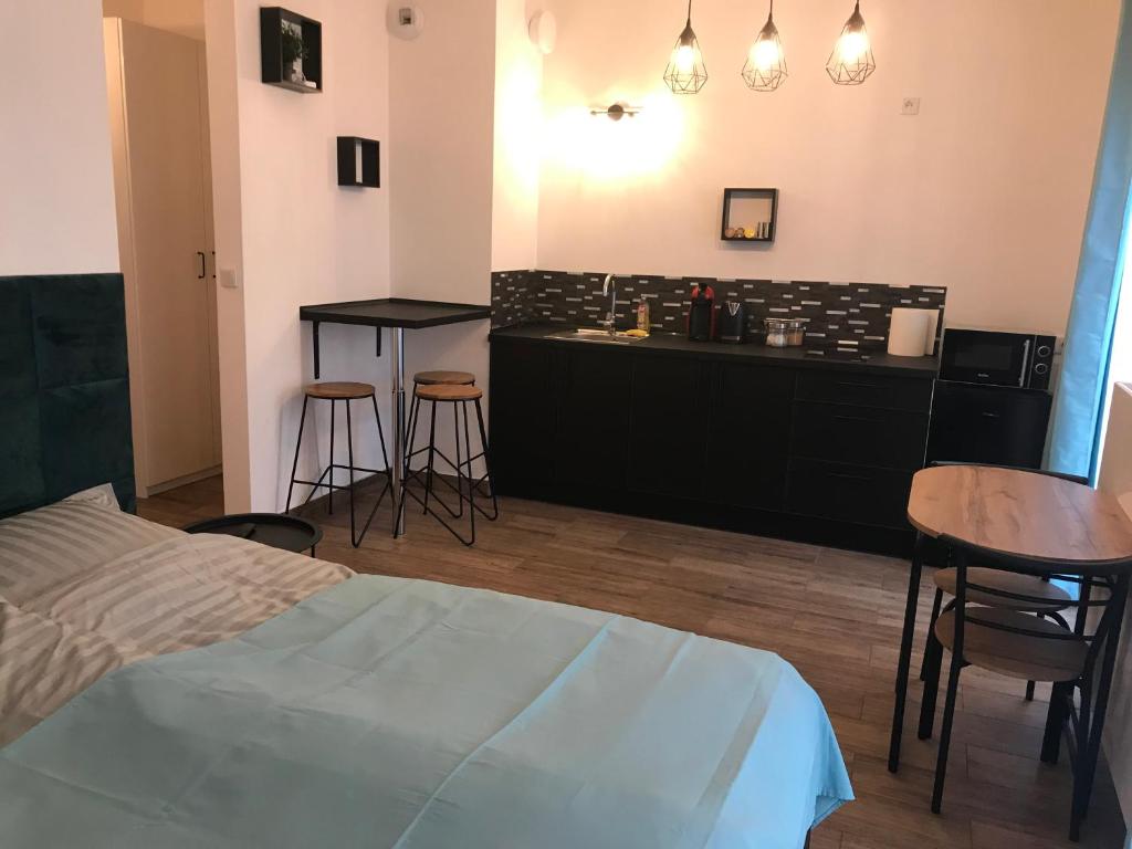 Steam Park Rakowicka Koper Apartment - 6