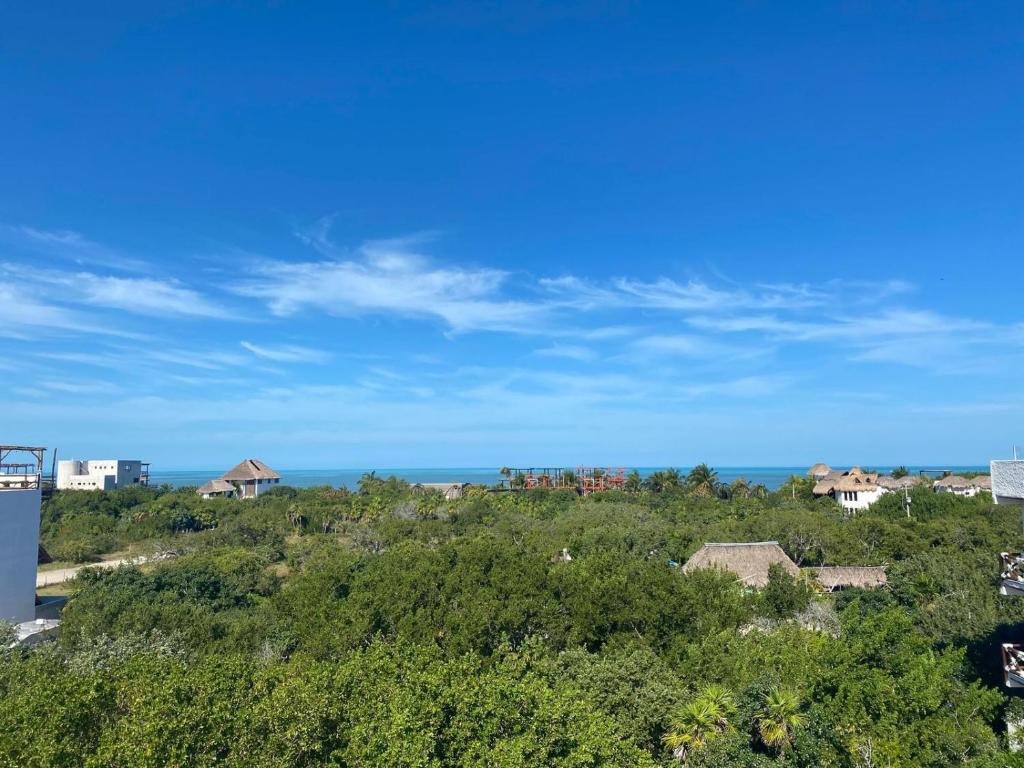 Paisaje cerca de este hotel