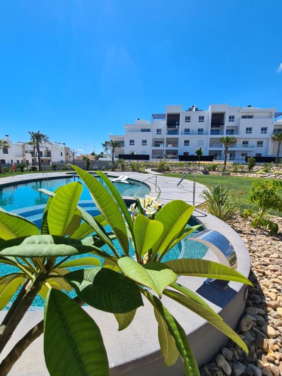 una pianta di fronte a una piscina con un edificio di Residence Bali a Torrevieja