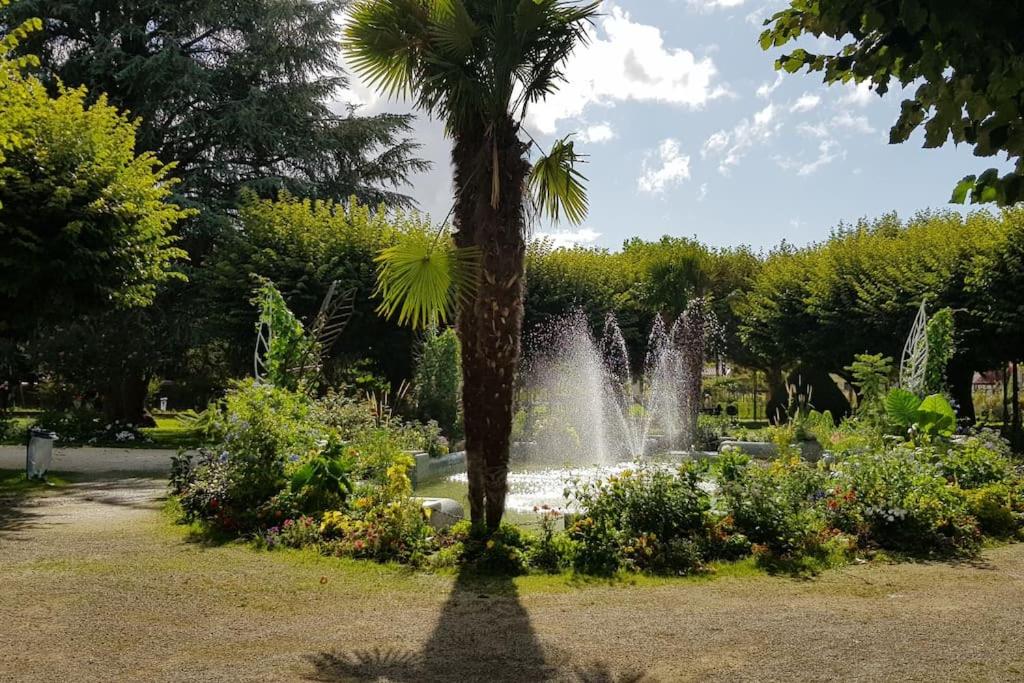 un palmier dans un parc avec une fontaine dans l'établissement L'appartement du Jardin Perdoux, à Bergerac