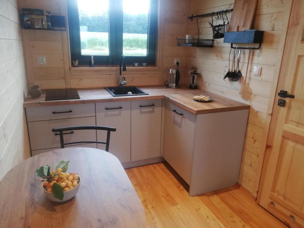 Kuchyňa alebo kuchynka v ubytovaní Domki całoroczne DŁUGOSZÓWKA pod Rzeszowem, Jacuzzi-Sauna-Basen-Alpaki