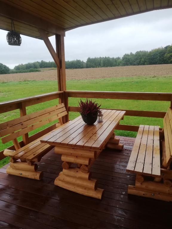 Fotografia z galérie ubytovania Domki całoroczne DŁUGOSZÓWKA pod Rzeszowem, Jacuzzi-Sauna-Basen-Alpaki v destinácii Zaborów