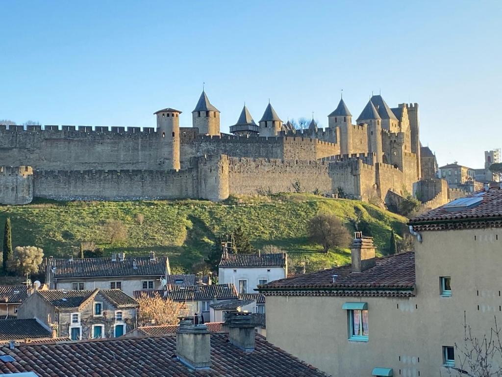 a large castle on top of a hill with roofs at Demeure Saint Louis Historic manor, City 700m, parking,A C,Clim,WIFI, heated pool, city view in Carcassonne