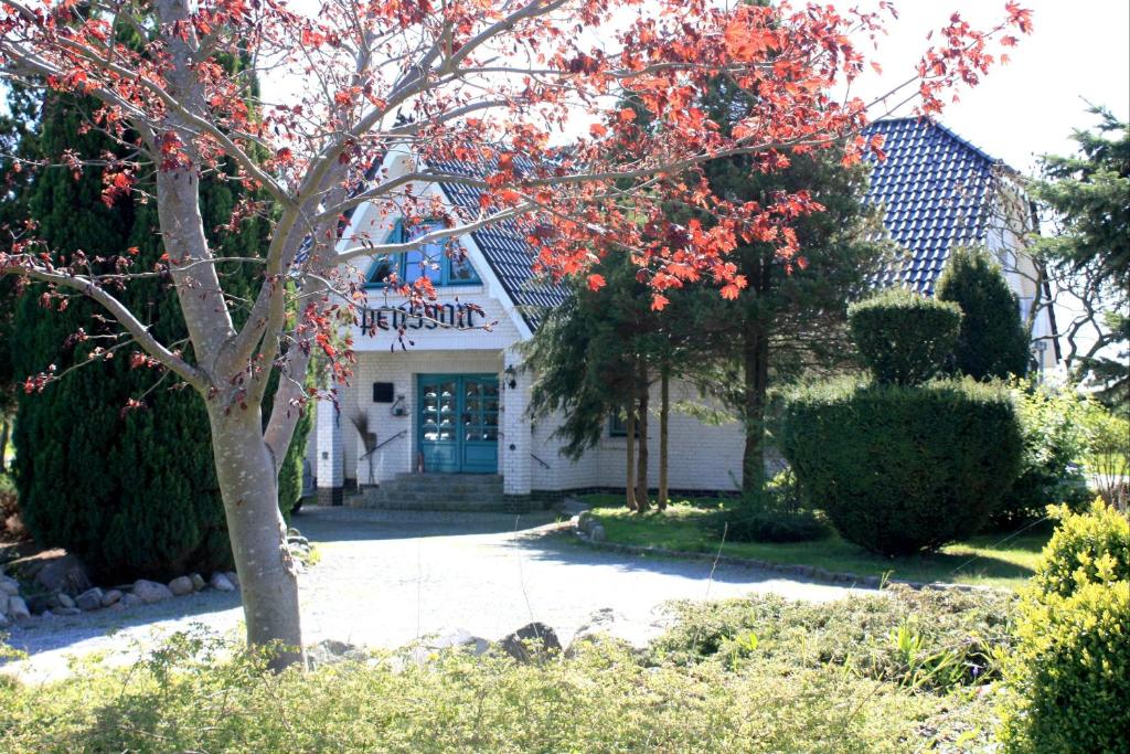 Una casa blanca con un árbol delante. en Pension Landhaus Teichgraf, en Wolgast