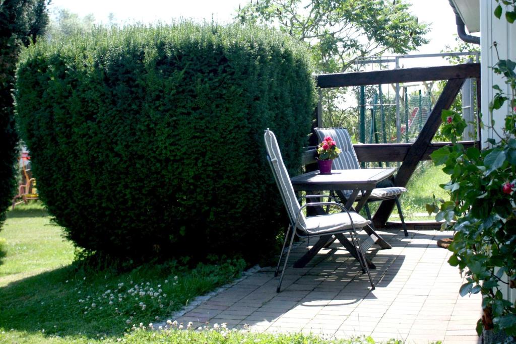 a patio with a table and chairs next to a hedge at Pension Landhaus Teichgraf in Wolgast