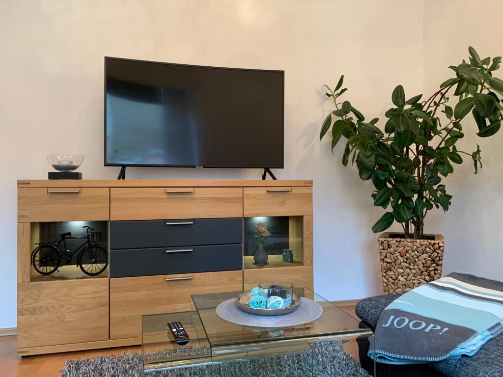 TV a/nebo společenská místnost v ubytování Ferienwohnung Janus Altstadt-Hameln Haus 2 inklusive Parkplatz - mit und ohne Terrasse oder Loggia