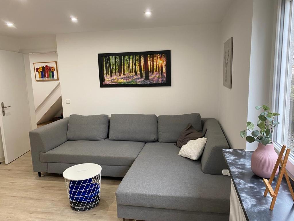 a living room with a gray couch and a painting on the wall at Rheingold in Kehl am Rhein