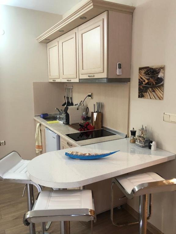 Kuchyň nebo kuchyňský kout v ubytování Vacation Apartment at Sunny Beach