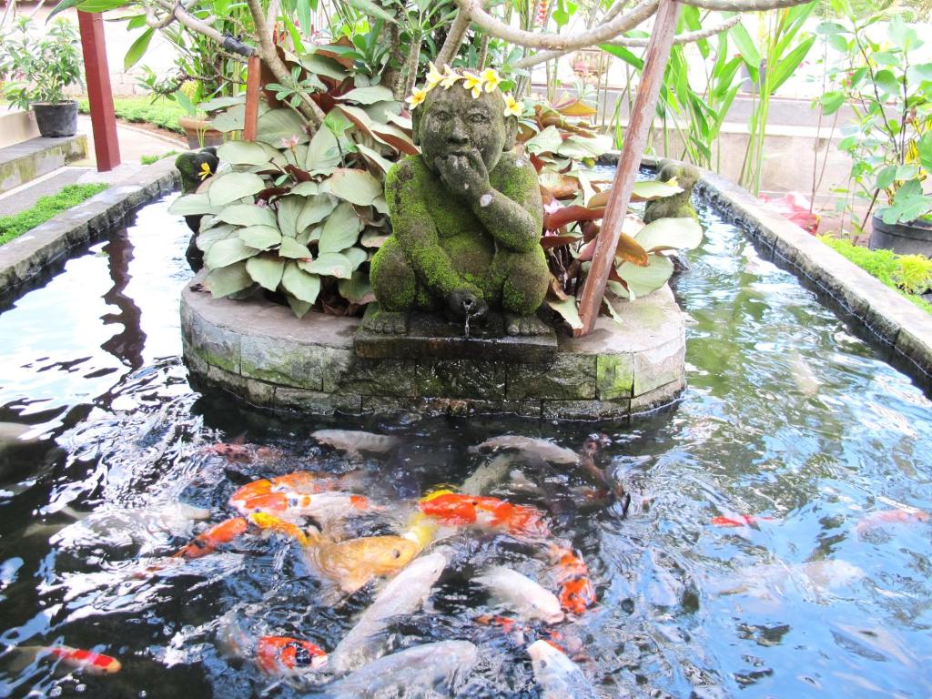 Fotografie z fotogalerie ubytování Bucu Guest House v Ubudu