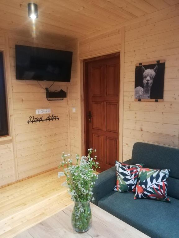 Televízia a/alebo spoločenská miestnosť v ubytovaní Domki całoroczne DŁUGOSZÓWKA pod Rzeszowem, Jacuzzi-Sauna-Basen-Alpaki