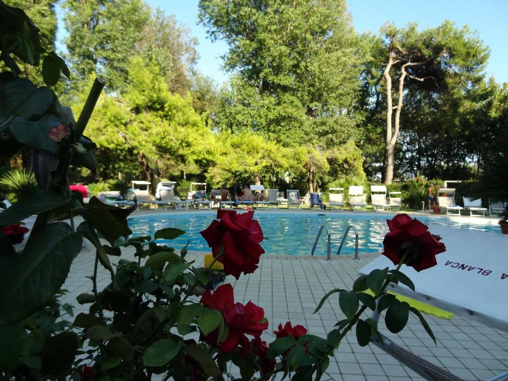 The swimming pool at or close to Hotel Playa Blanca
