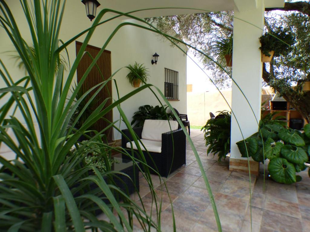 Fotografia z galérie ubytovania Rural house with private pool, new and beautiful garden v destinácii Conil de la Frontera