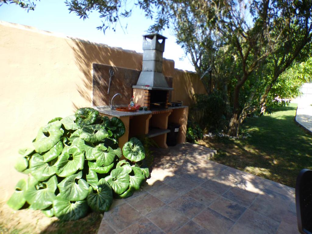 Fotografia z galérie ubytovania Rural house with private pool, new and beautiful garden v destinácii Conil de la Frontera