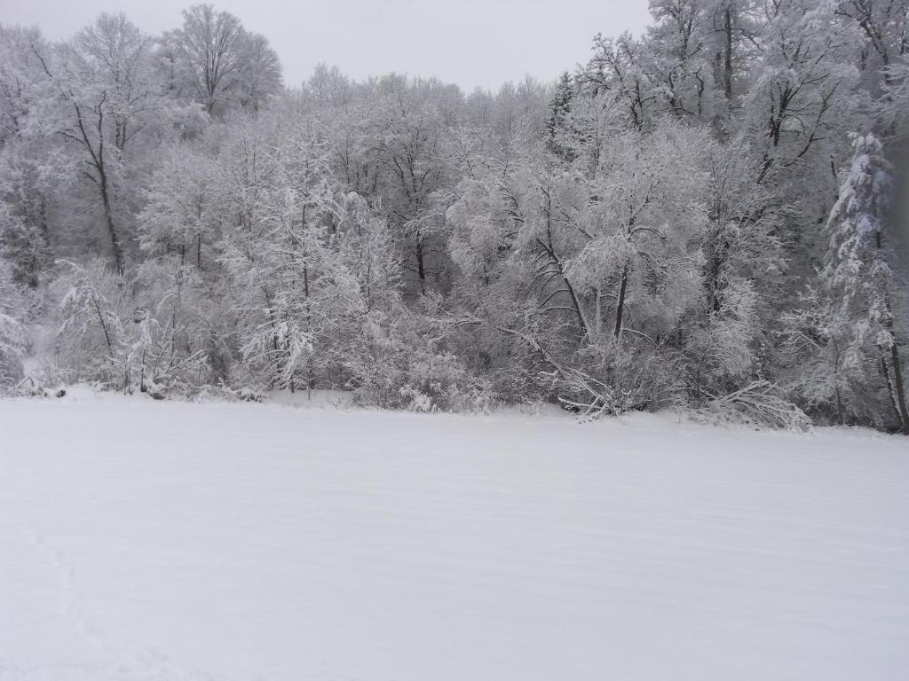Zwettltalblick v zime