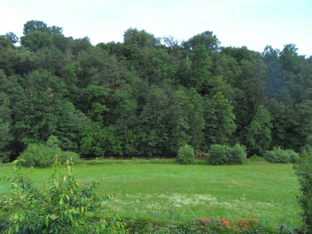 Príroda v okolí apartmánu