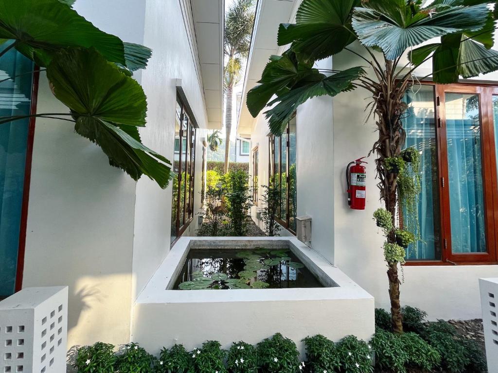 Purepamvillage - Resim 25