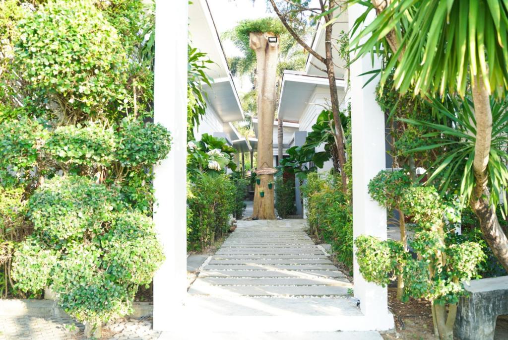 Purepamvillage - Resim 30