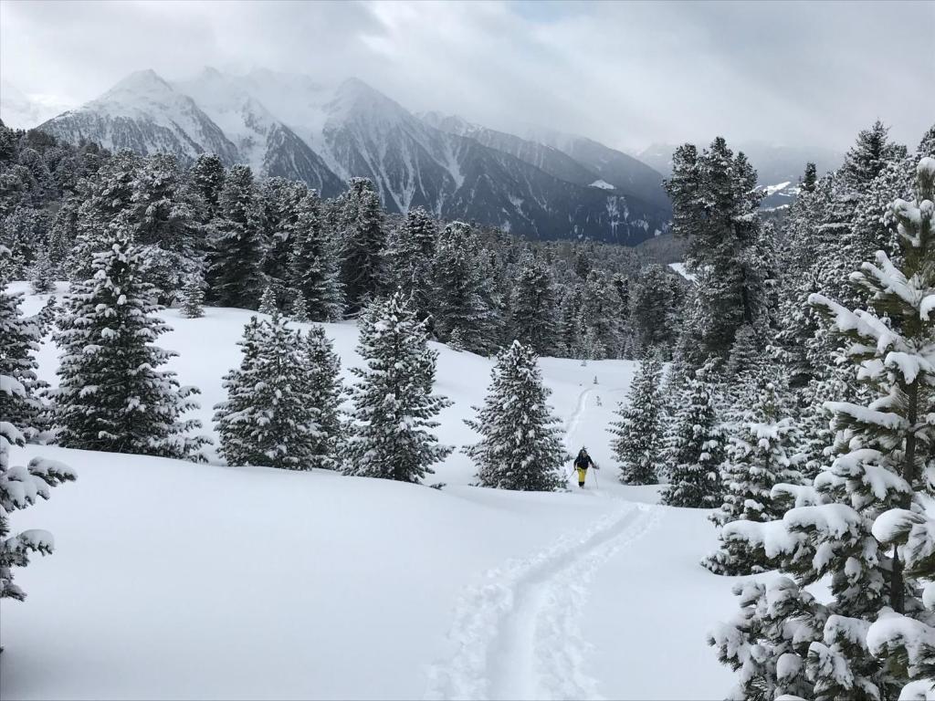 Alpenblick de Luxe v zime