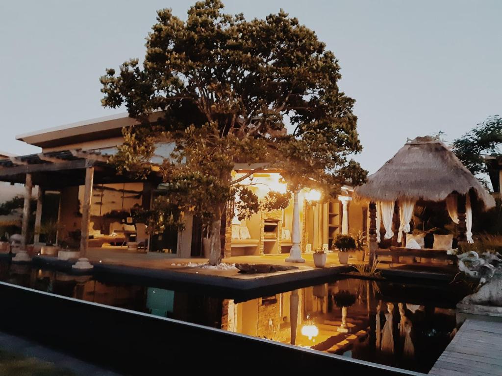 a house with a tree in the middle of a pool at Forest Nature Spa in The Crags