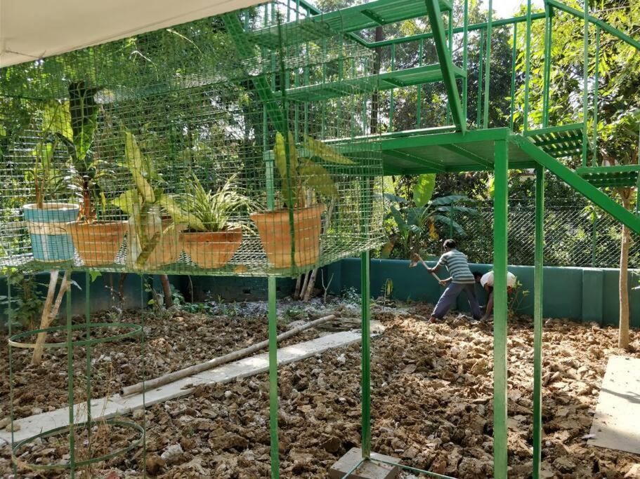 Zahrada ubytování Bhitey Homestay SIMANTAPALLY / SHANTINIKETAN