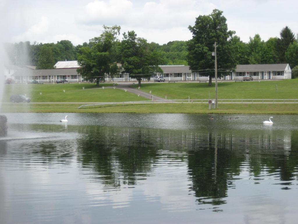 un estanque con dos cisnes delante de un edificio en Fountain View Motel, en Richfield Springs