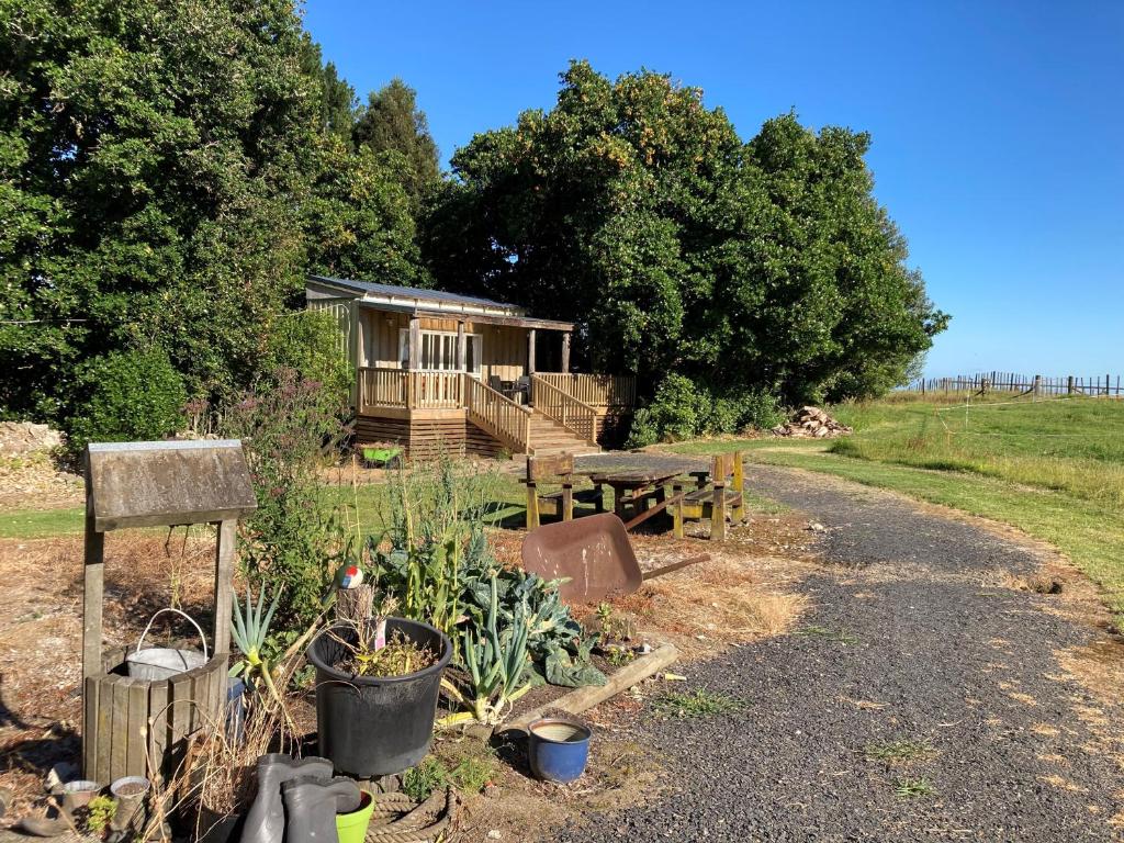 uma cabana de madeira num campo com uma estrada de cascalho em The Treehut em Ohauiti