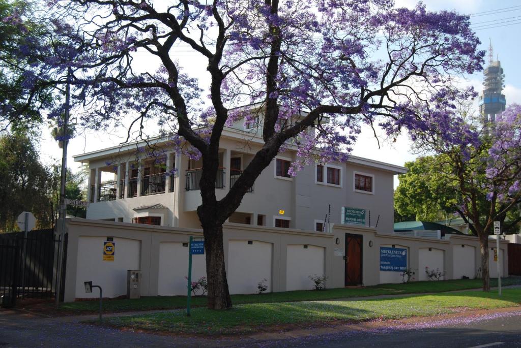 a white house with a tree in front of it at Muckleneuk Guest House in Pretoria