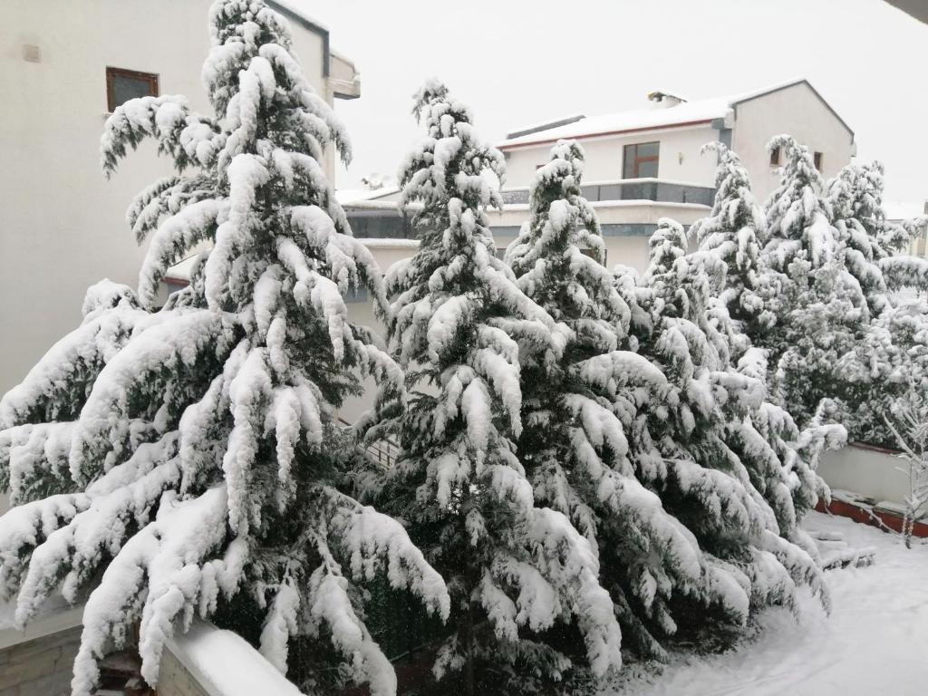 oasis villa Akköy Villa - Housity