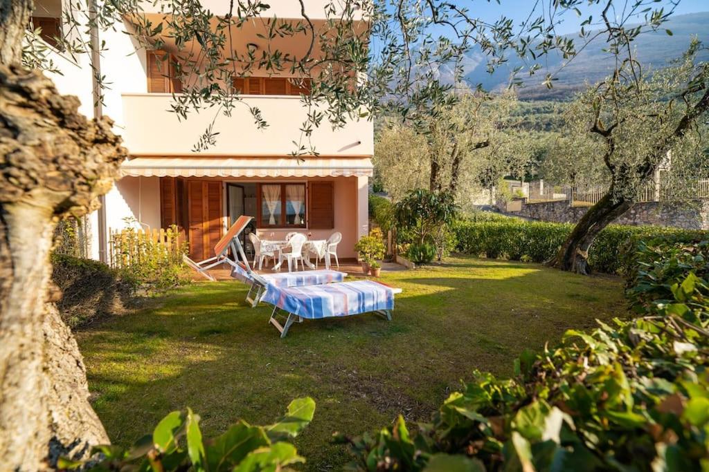 A garden outside ULIVI Beth's House