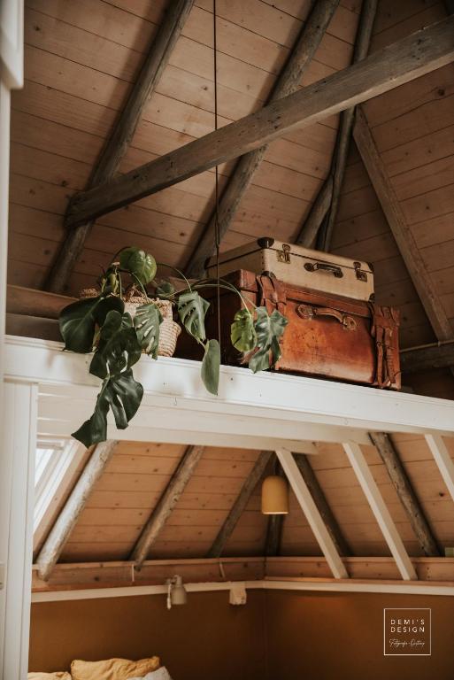 Fotografie z fotogalerie ubytování Guesthouse in het Voorhuys v destinaci Doesburg
