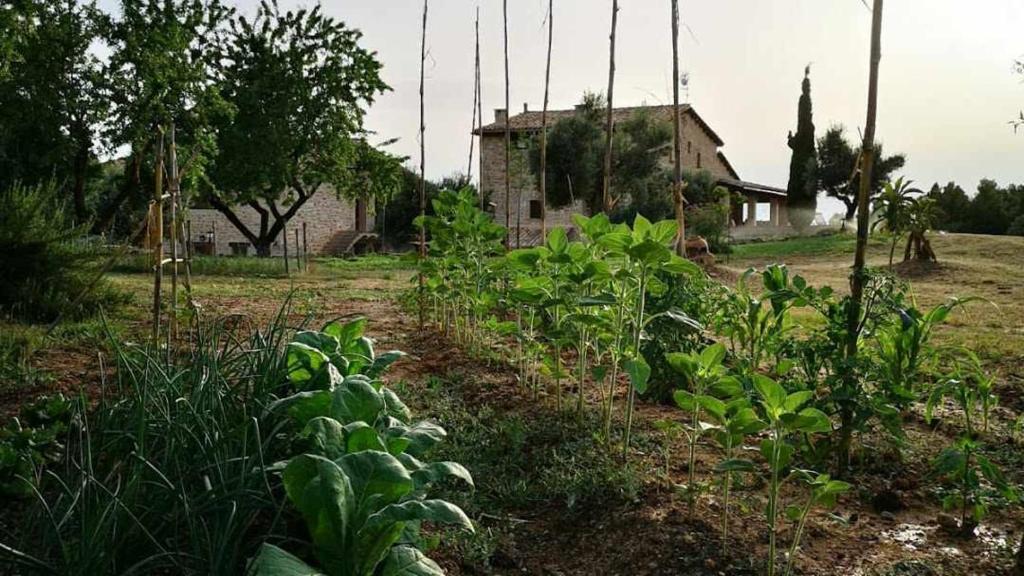 Casa rural restaurante Mas Del Rei, Calaceite – Precios 2022 ...