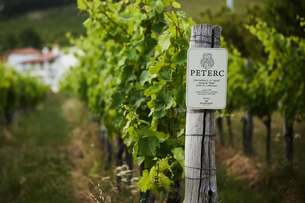 Certifikát, hodnocení, plakát nebo jiný dokument vystavený v ubytování Peterc Vineyard Estate
