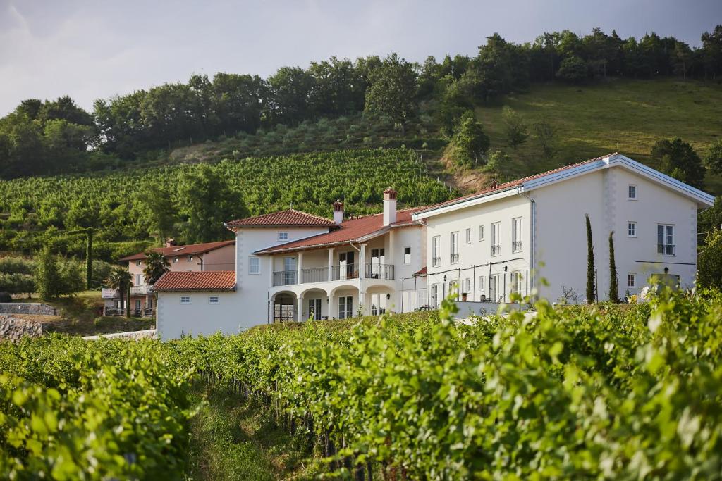 a large white building in the middle of a vineyard at Peterc Vineyard Estate in Kojsko