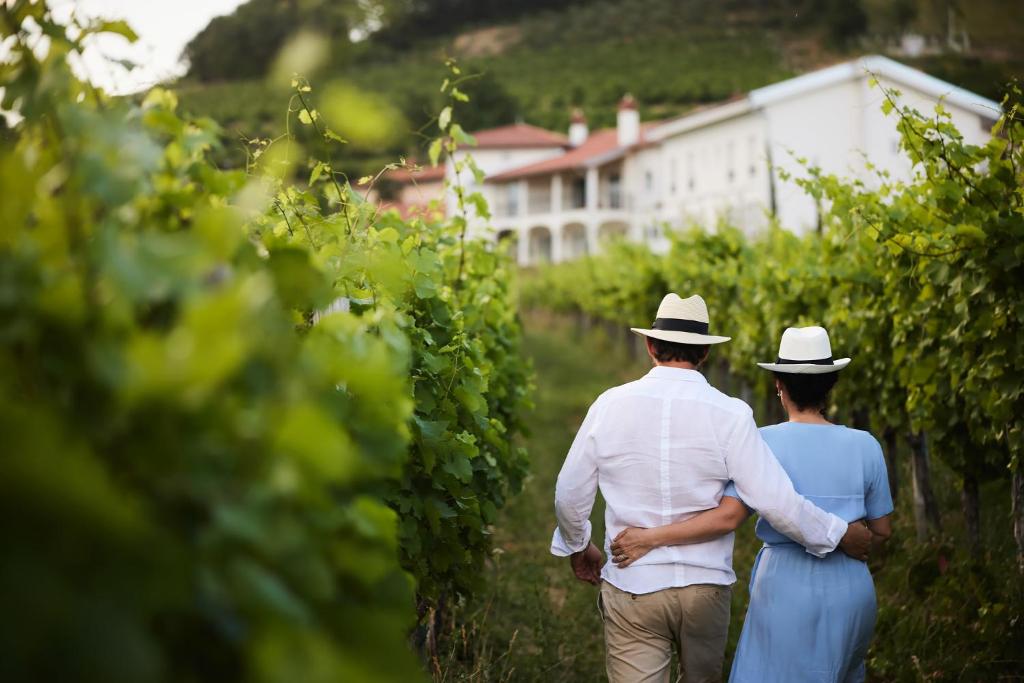 Hosté ubytování Peterc Vineyard Estate