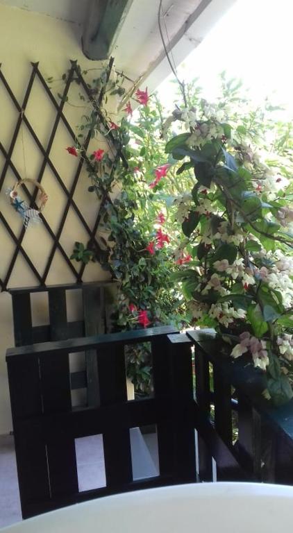 Fotografie z fotogalerie ubytování Serenity House v destinaci Ágios Matthaíos