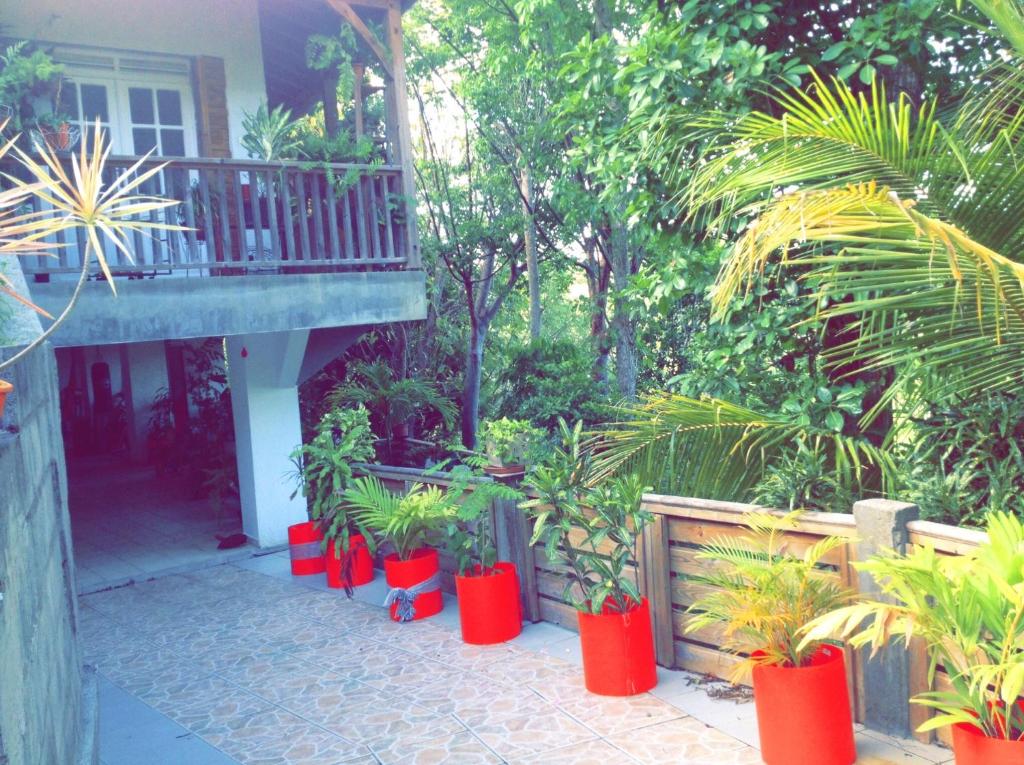 ogród z czerwonymi garnkami i balkon z roślinami w obiekcie Besson, maison de caractere w mieście Le Gosier