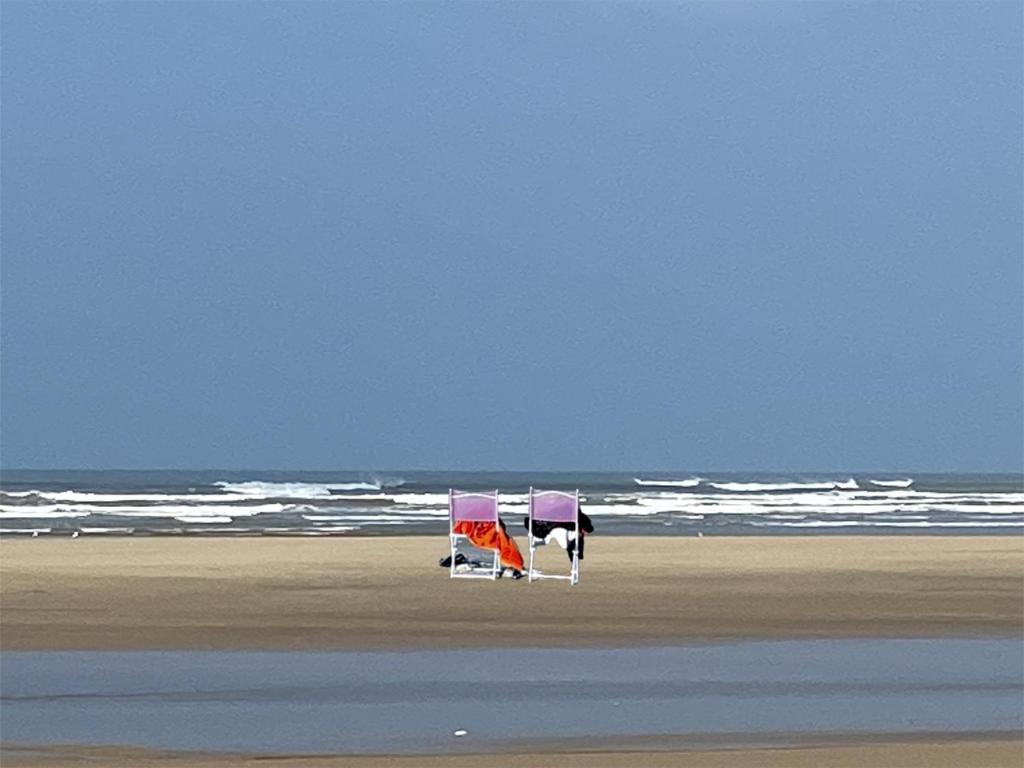 dos sillas sentadas en una playa cerca del océano en Le Cocon Gite, en Saint-Trojan-les-Bains