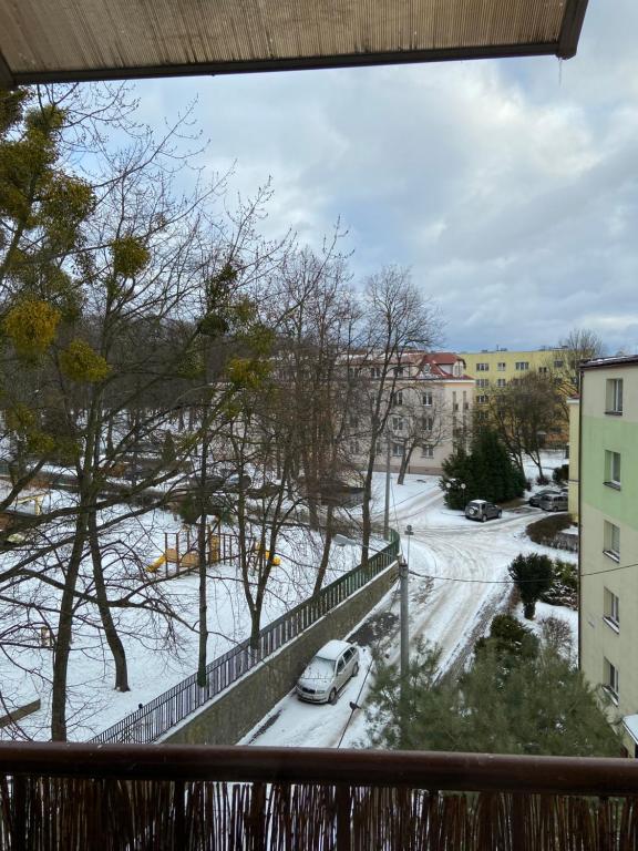 Apartament Saski - 12