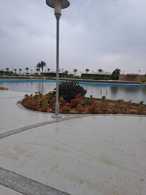 Bazén v ubytování شالية مجهز بالكامل موسي كوست Fully Equipped Chalet Mosa Coast nebo v jeho okolí