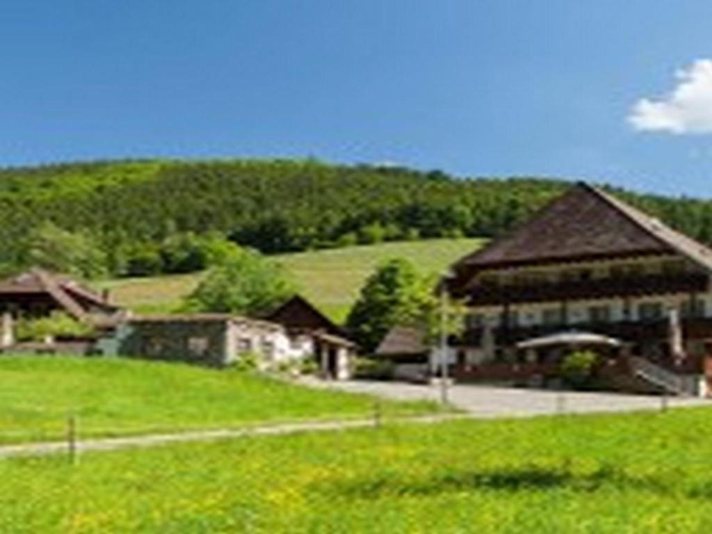 ein großes Gebäude auf einem Feld mit grünem Gras in der Unterkunft Landgasthaus Grüner Baum in Simonswald