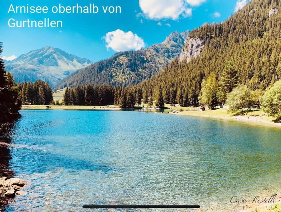 uma vista para um lago com montanhas ao fundo em Casa Restelli OG - nahe Andermatt Gotthard em Gurtnellen