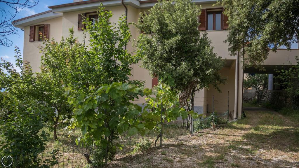 a house with trees in front of it at Casa Bardia IUN Q3653 in Dorgali