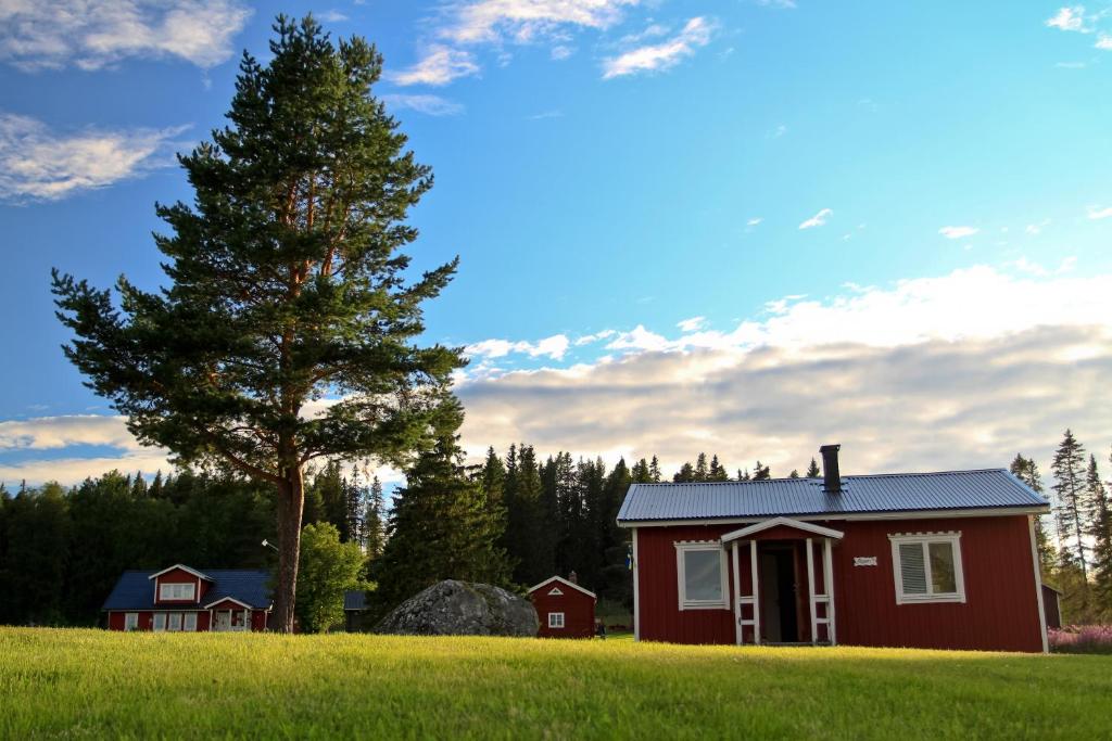 a red house in a field with a tree at Lappland Pro Natur in Åsele