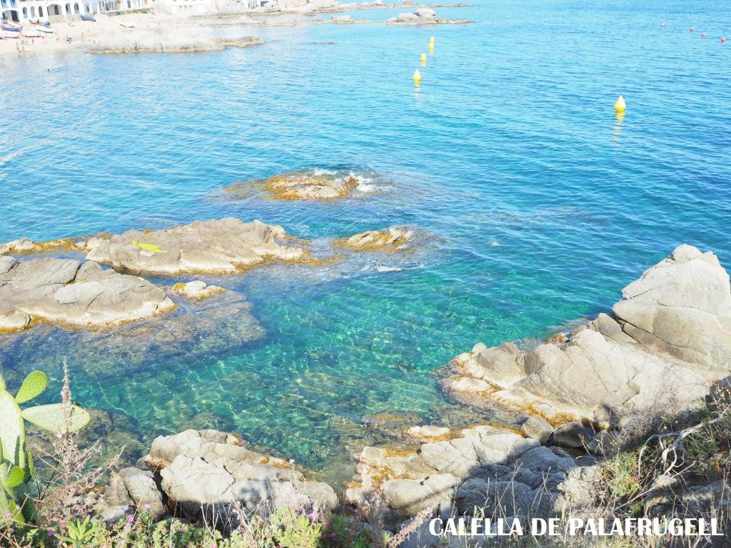 Apartamento con terraza, vistas al mar en Calella de ...
