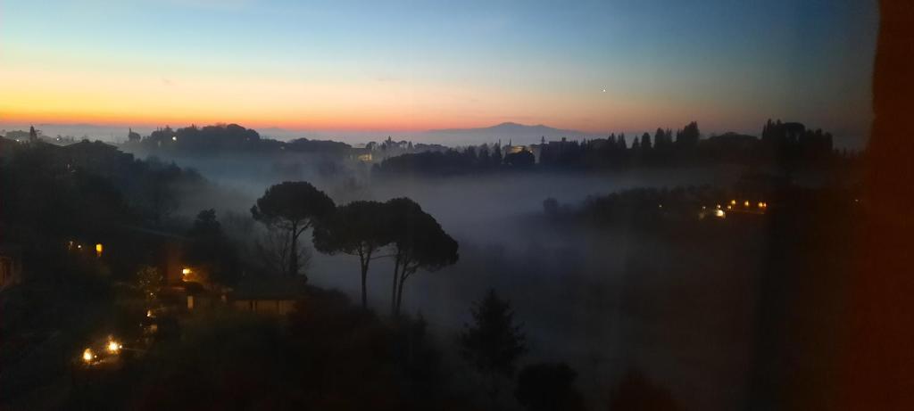 a foggy sunrise with a tree in the foreground at Finestra sul verde in Siena