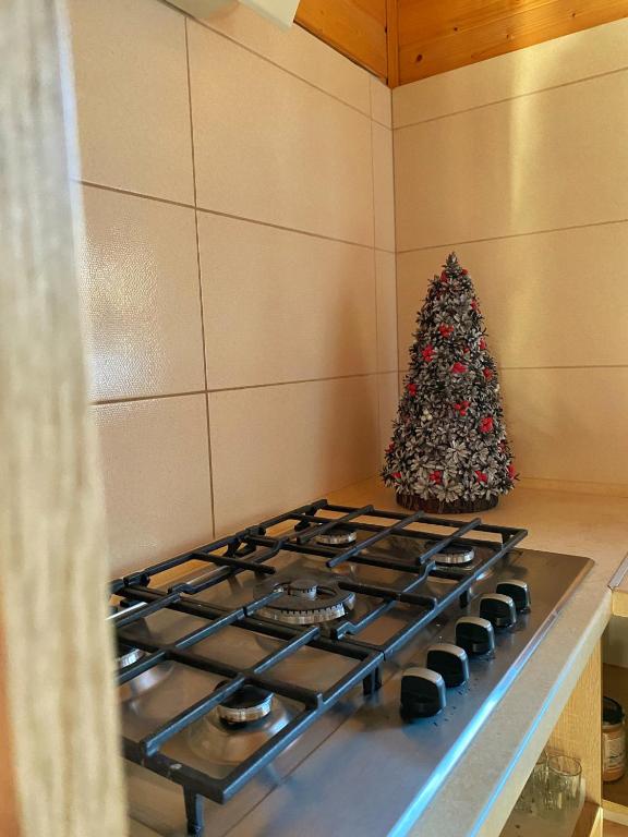 Kuchyň nebo kuchyňský kout v ubytování Faina House