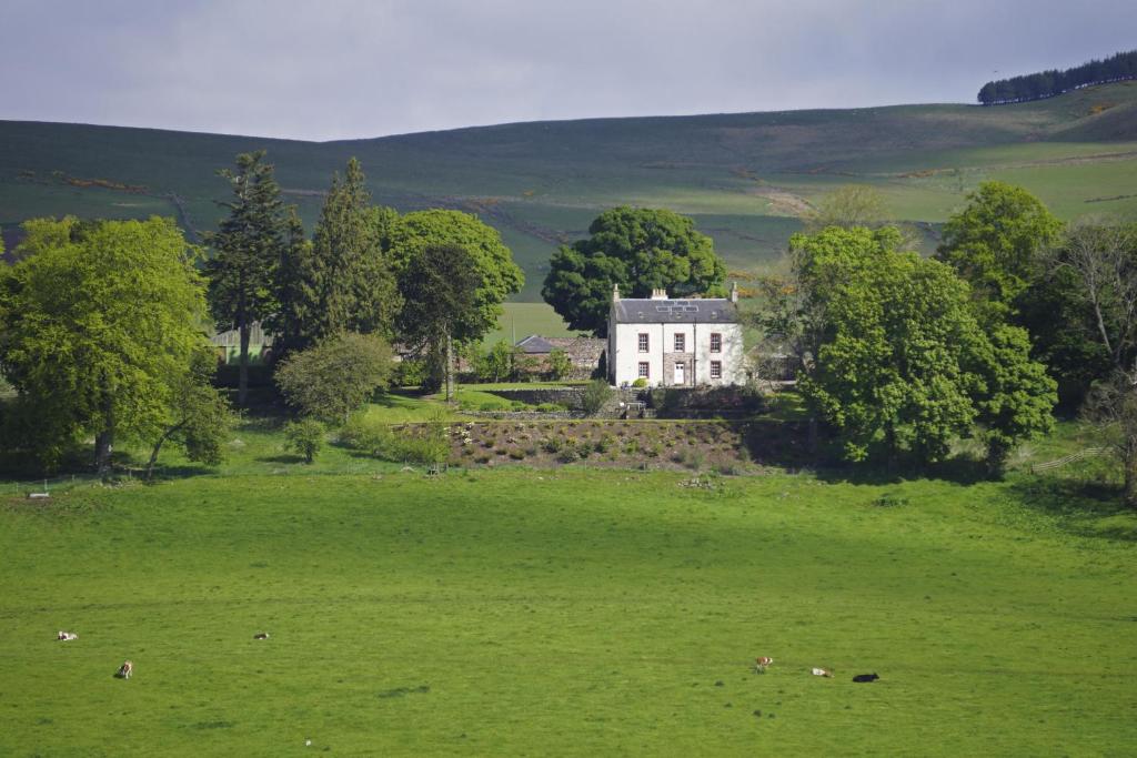 a large white house in a field of green grass at Beautiful 8-Bed House in Angus in Kirriemuir