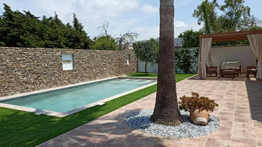 una piscina con una palmera en un patio en Casa La Palmera - Sólo Familias y Parejas, en Conil de la Frontera